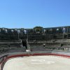 arles1_28