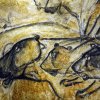 grotte_chauvet_21