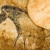 grotte_chauvet_24