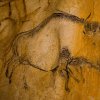grotte_chauvet_25