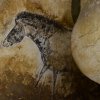 grotte_chauvet_26